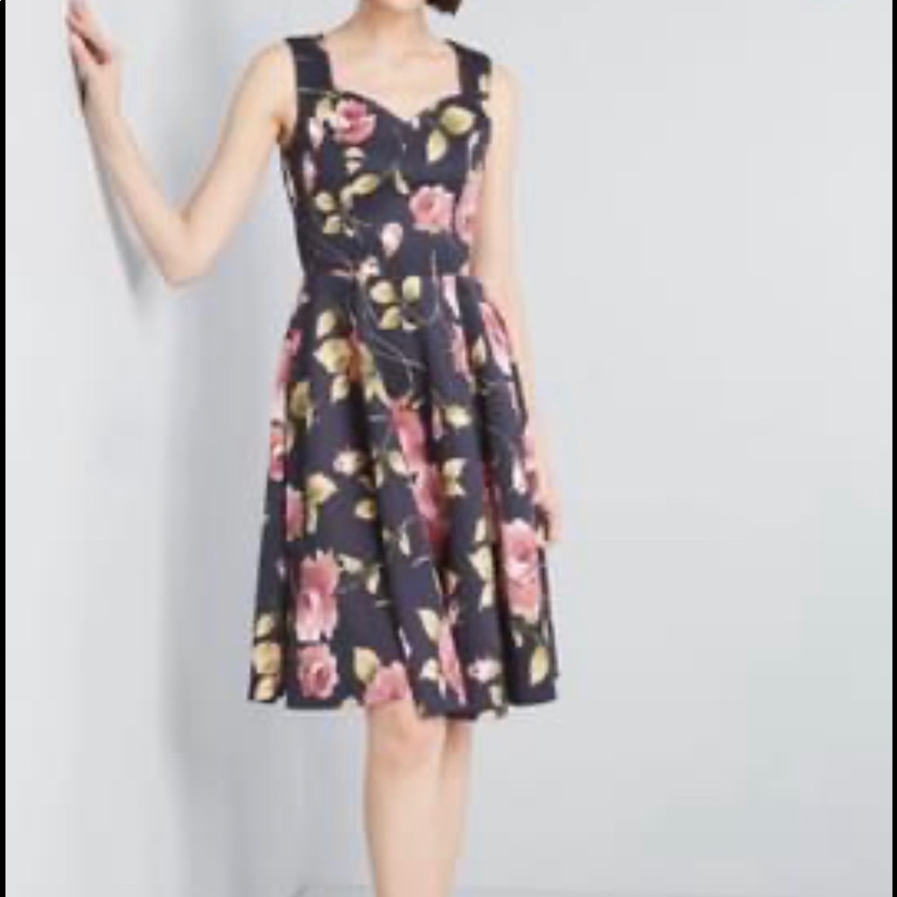 Fit and Flare Dress
